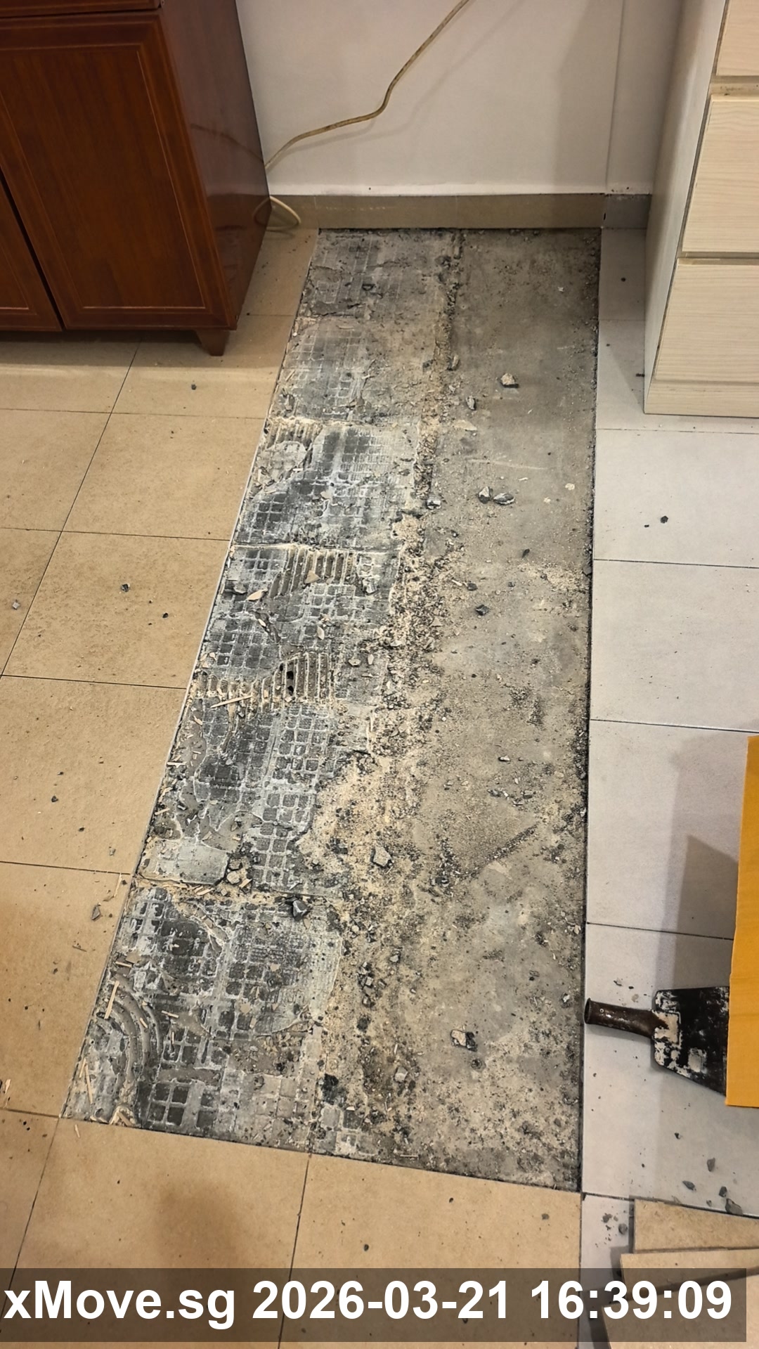 FixMove during repair photo 03